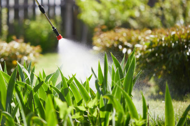 24/7 Emergency Mosquito Control experts in Pearson, GA
