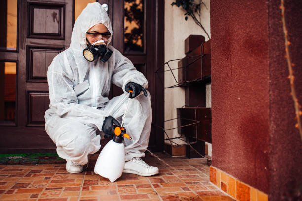 Reliable Mosquito Control contractor in Pearson, GA by Nex Pest Control